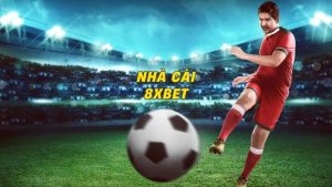 Kèo nhà cái 8XBET là các tỷ lệ mà nhà cái đưa ra