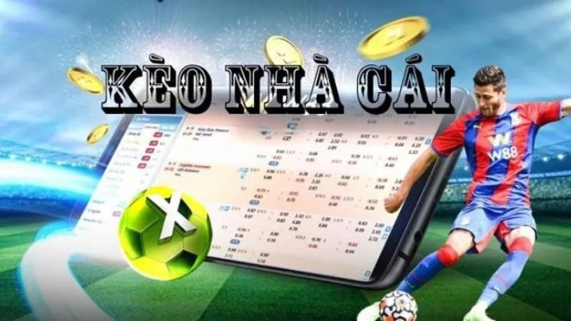Bạn theo dõi kèo nhà cái miễn phí tại trang web Keonhacai LU