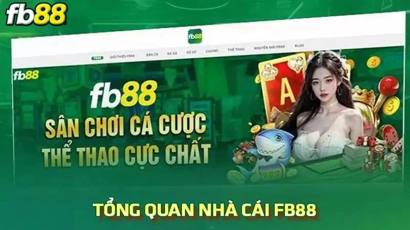 Sân chơi này có rất nhiều những ưu điểm vượt trội