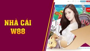 Nhà cái có tồn tại những ưu điểm và hạn chế nhất định