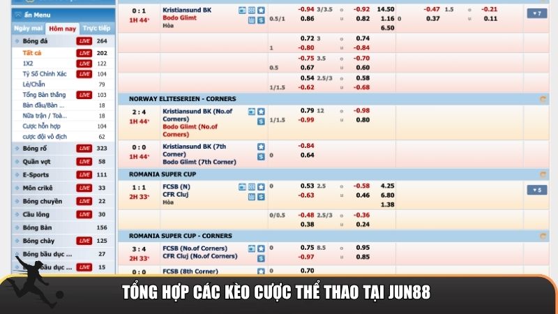 Tổng hợp các kèo cược thể thao tại Jun88
